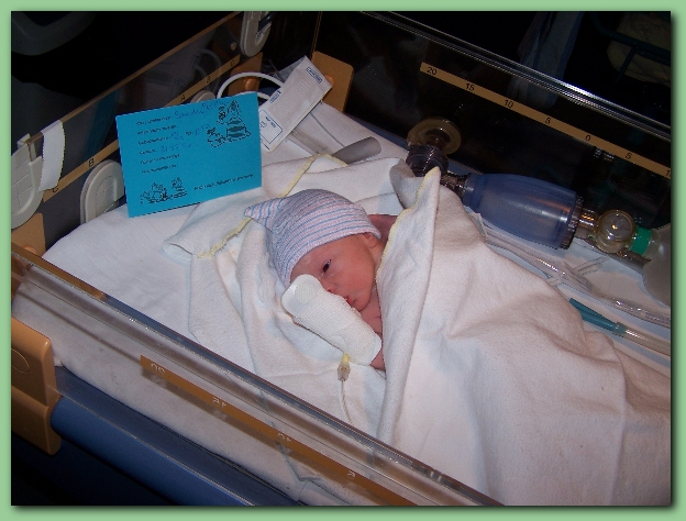 584x433 pixels (232K)